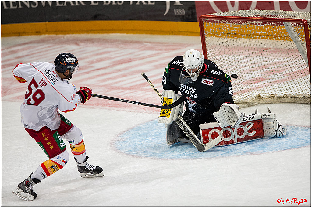 Koelner Haie - Duesseldorfer EG, 18.12.2016
